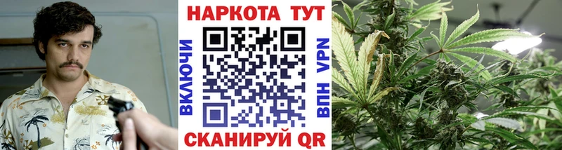 Хочу наркоту Нерчинск ГАШ Бошки Шишки Амфетамин Псилоцибиновые грибы Меф Cocaine А ПВП