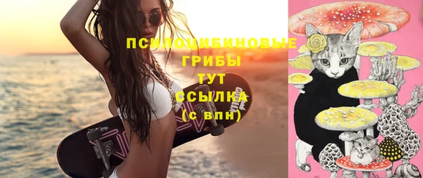 хмурый Михайловск